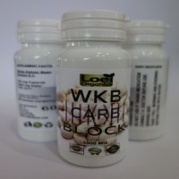 White Kidney Bean Extract